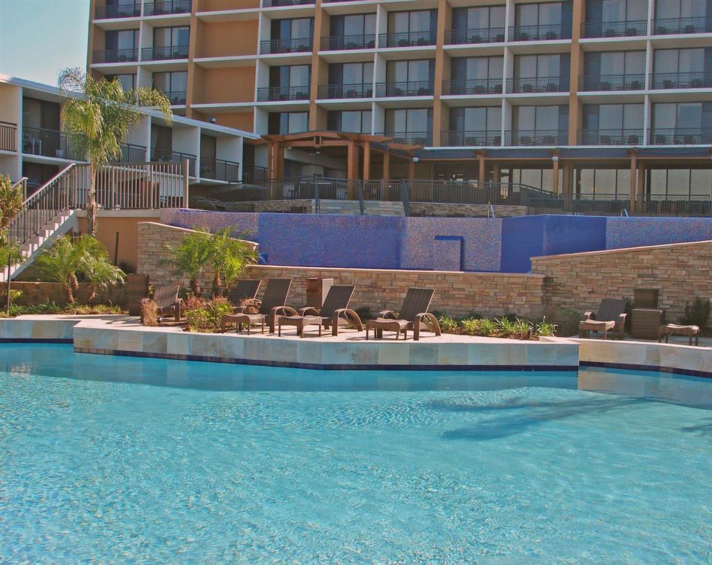 Treasure Bay Casino & Hotel-Adults Age 21 And Above Biloxi Konforlar fotoğraf